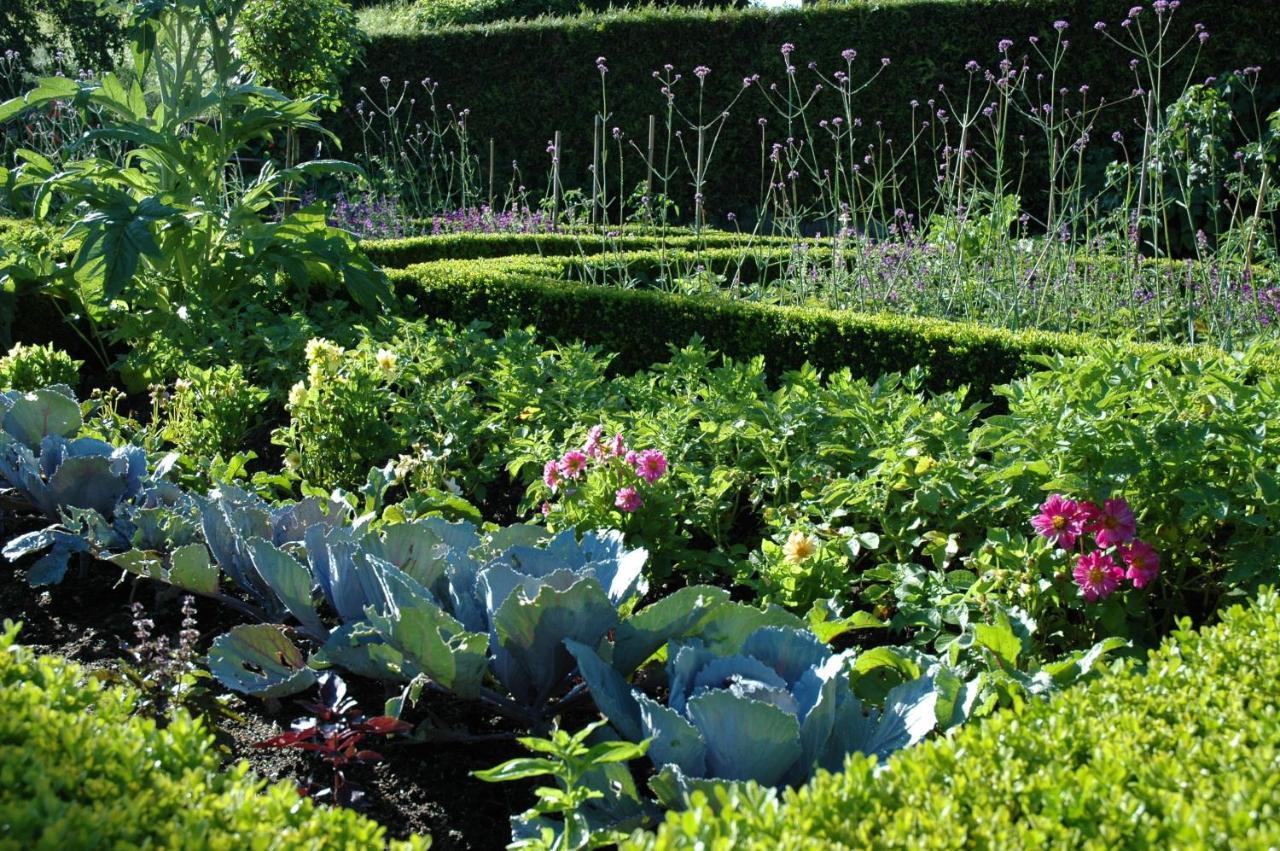 Le Chat Courant Villandry Buitenkant foto